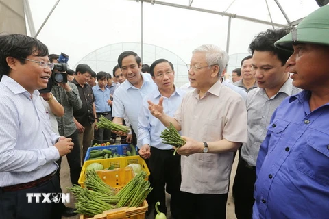 Tổng Bí thư Nguyễn Phú Trọng thăm Dự án sản xuất rau, củ, quả công nghệ cao trên đất cát dọc bờ biển Hà Tĩnh. (Ảnh: Trí Dũng/TTXVN)