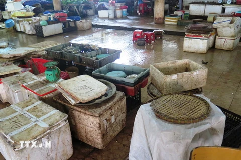 Nhiều tiểu thương bán cá biển tại chợ Hà Tĩnh đóng quầy vì người tiêu dùng quay lưng. (Ảnh: Phan Quân/TTXVN)