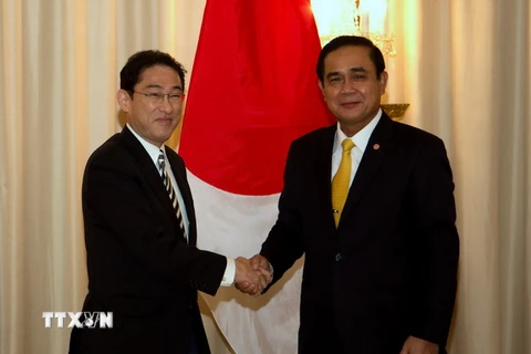 Ngoại trưởng Nhật Bản Fumio Kishida (trái) tiếp kiến Thủ tướng Thái Lan Chan-O-Cha. (Nguồn: AFP/TTXVN)