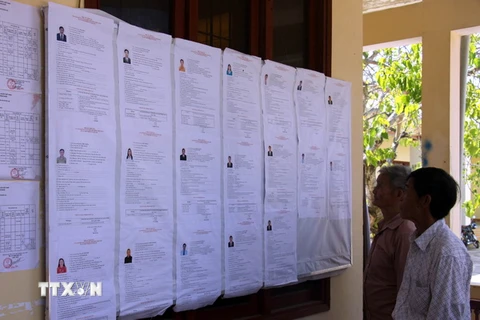 Ngư dân tại xã An Vĩnh, huyện Lý Sơn xem bảng niêm yết danh sách các ứng cử viên. (Ảnh: Sỹ Thắng/TTXVN)