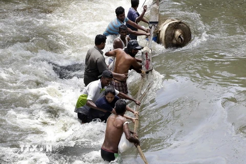 Người dân cố gắng vượt qua dòng nước lũ hoành hành tại Sedawatte, ngoại ô thủ đô Colombo, Sri Lanka. (Nguồn: EPA/TTXVN)
