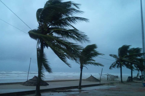 Cảnh báo nguy cơ gió giật cấp 9 ở khu vực ven biển Tây Nam Bộ