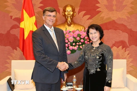 Chủ tịch Quốc hội Nguyễn Thị Kim Ngân tiếp Đại sứ Hugh Borrowman. (Ảnh: Trọng Đức/TTXVN)