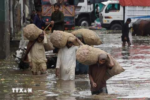 Cảnh ngập lụt sau những tận mưa lớn tại Lahore. (Nguồn: AFP/TTXVN)