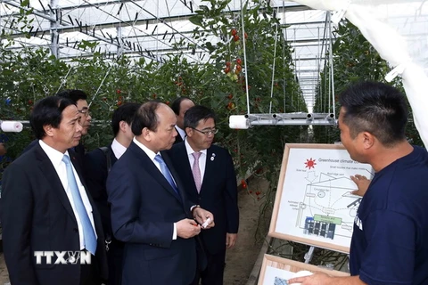 Thủ tướng Nguyễn Xuân Phúc đến thăm Nông trại Yokoyama, tại thành phố Nagoya, Nhật Bản. (Ảnh: Thống Nhất/TTXVN)