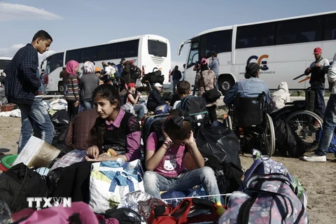Người tị nạn Syria chờ sơ tán khỏi trại tị nạn gần Idomeni ở khu vực biên giới Hy Lạp-Macedonia. (Nguồn: EPA/TTXVN) 