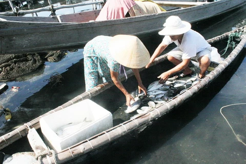 Thừa Thiên-Huế: Hơn 10 tấn cá nuôi lồng chết trong vòng hai ngày