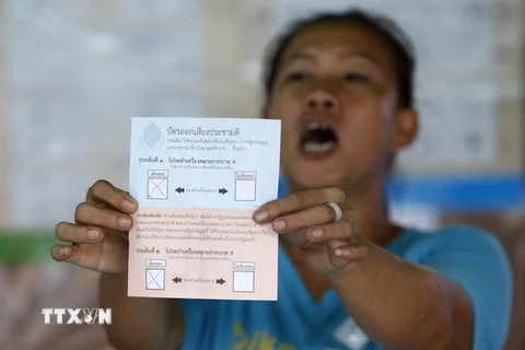  Nhân viên cơ quan bầu cử Thái Lan kiểm phiếu tại thủ đô Bangkok. (Nguồn: EPA/TTXVN)