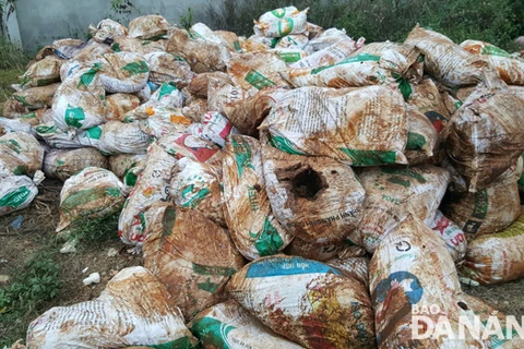 Đà Nẵng: Yêu cầu sớm kết luận việc chôn lấp hơn 30 tấn chất thải