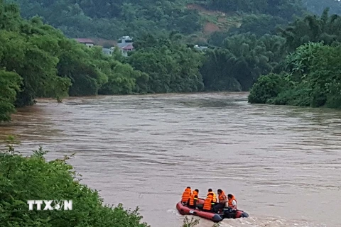 Lực lượng cứu hộ đang tìm kiếm nạn nhân dọc bờ sông Bằng. (Ảnh: Quân Trang/TTXVN)