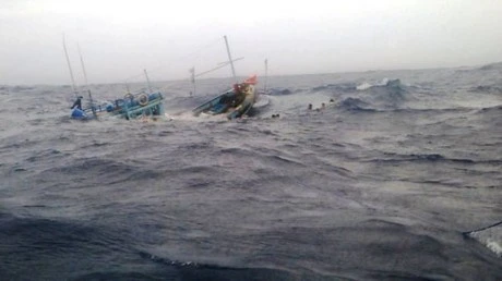 Phú Yên: Kịp thời cứu bốn ngư dân tàu cá bị chìm trên biển