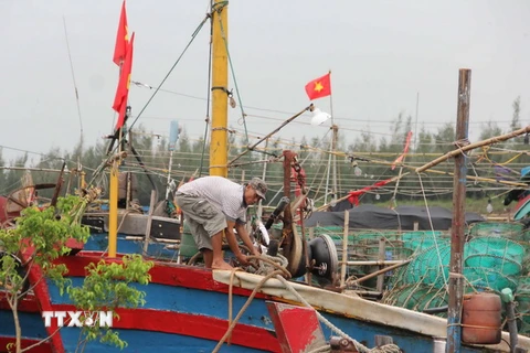 Ngư dân xã Nam Thịnh, huyện Tiền Hải, Thái Bình đang cột lại thuyền chắc chắn để phòng chống bão số 3. (Ảnh: Xuân Tiến/TTXVN)