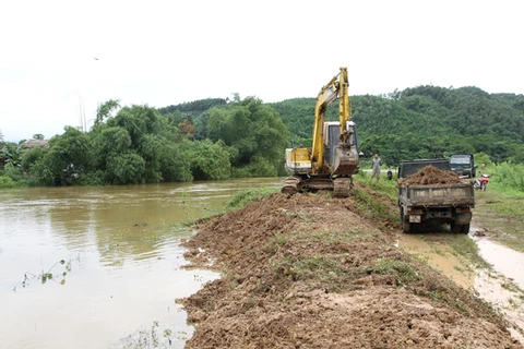 Hưng Yên: Sạt lở 100m mái đê sông Hồng tại Văn Giang