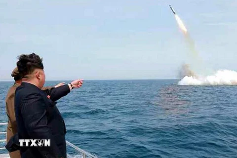 Nhà lãnh đạo Triều Tiên Kim Jong-un thị sát một vụ phóng thử tên lửa từ tàu ngầm. (Nguồn: Reuters/TTXVN)