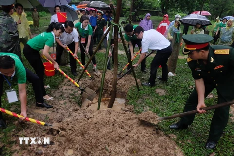 Các thủ khoa xuất sắc và đại biểu trồng tặng 100 cây xanh cho Đền Và. (Ảnh: Kim Chung/TTXVN)