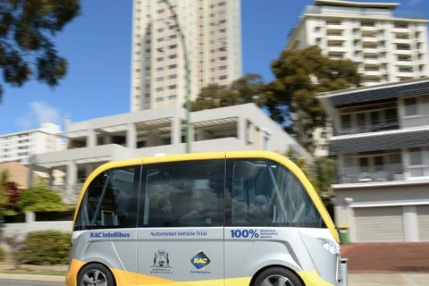 Chiếc xe buýt chạy không người lái RAC Intellibus. (Nguồn: perthnow.com.au)