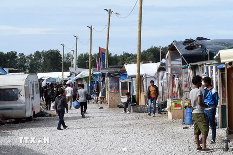Quang cảnh trại tị nạn "Jungle" ở Calais. (Nguồn: AFP/TTXVN)