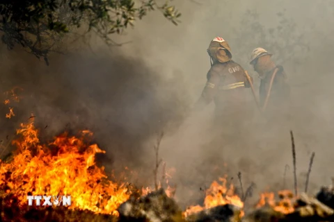 Lực lượng cứu hỏa Bồ Đào Nha nỗ lực khống chế các đám cháy rừng tại khu vực Soure, Coimbra. (Nguồn: EPA/TTXVN)