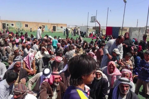 Người tị nạn Iraq tại trại al-Hawl. (Nguồn: Twitter)
