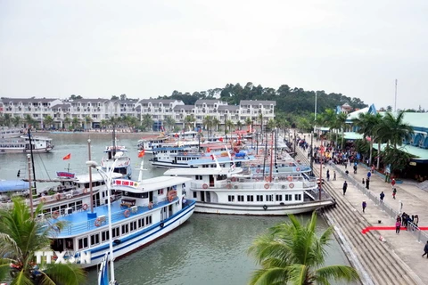 Tàu du lịch Vịnh Hạ Long cập Cảng tàu khách quốc tế Tuần Châu. (Ảnh: Nguyễn Hoàng/TTXVN)