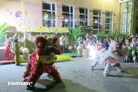 Màn múa lân tại lễ hội. (Ảnh: Nguyễn Hoàng Linh/Vietnam+)