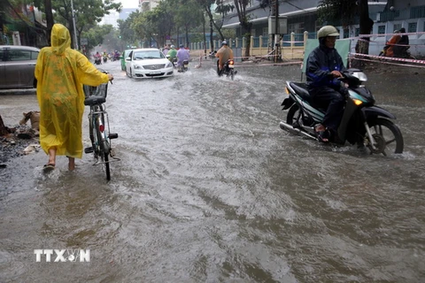 Đường Quang Trung (Đà Nẵng) ngập chìm trong nước do mưa lớn kéo dài. (Ảnh: Trần Lê Lâm/TTXVN)