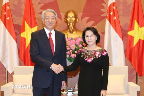 Chủ tịch Quốc hội Nguyễn Thị Kim Ngân tiếp Phó Thủ tướng Singapore Tiêu Chí Hiền. (Ảnh: Trọng Đức/TTXVN)
