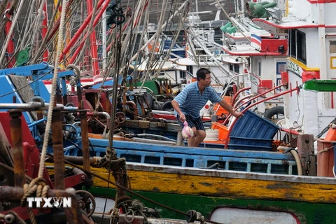 Neo đậu tàu thuyền tránh bão tại cảng Dasi, Nghi Lan, Đài Loan (Trung Quốc). (Nguồn: AFP/TTXVN)