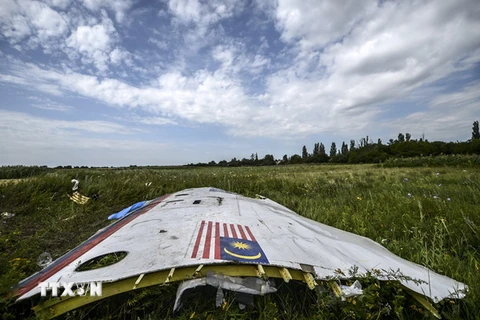 Mảnh vỡ máy bay MH17 tại khu vực gần làng Grabove, Donetsk, Ukraine. (Nguồn: AFP/TTXVN)