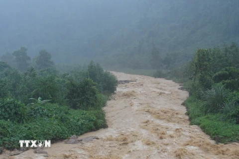 Mưa lớn gây lũ lụt nghiêm trọng nhiều khu vực tại Quảng Bình. (Ảnh: Đức Thọ/TTXVN)