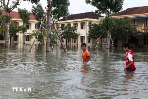 Mấy ngày qua trường THPT Nghèn, huyện Can Lộc chìm trong nước. (Ảnh: Thanh Tùng/TTXVN)