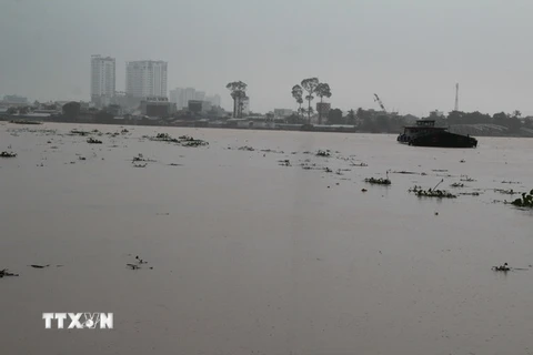 Mực nước trên sông Đồng Nai tại khu vực thành phố Biên Hòa đang lên cao ở mức báo động 2. (Ảnh: Sỹ Tuyên/TTXVN)