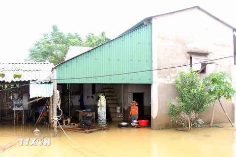 Nhiều nhà dân nằm ngoài đê thuộc xã Hưng Lam, huyện Hưng Nguyên (Nghệ An) bị ngập lụt. (Ảnh: Tá Chuyên/TTXVN)