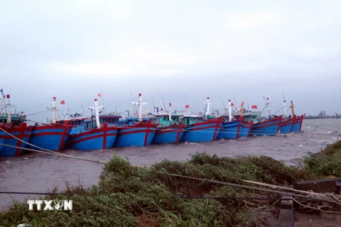 Tàu thuyền neo đậu tại thị trấn Thịnh Long, huyện Hải Hậu (Nam Định). (Ảnh: Văn Đạt/TTXVN)
