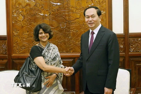 Chủ tịch nước Trần Đại Quang tiếp bà Pratibha Mehta, Điều phối viên thường trú Liên hợp quốc tại Việt Nam. (Ảnh: Nhan Sáng/TTXVN)