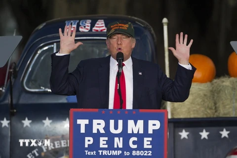 Ứng cử viên đảng Cộng hòa Donald Trump trong chiến dịch tranh cử tại thành phố Tallahassee, bang Florida. (Nguồn: AFP/TTXVN)