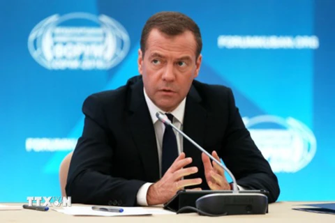 Thủ tướng Nga Dmitry Medvedev trong một cuộc họp ở Sochi, Nga. (Nguồn:Sputnik/AFP/TTXVN)