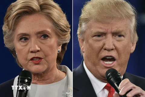 Bà Hillary Clinton (trái) và ông Donald Trump (phải). (Nguồn: AFP/TTXVN)