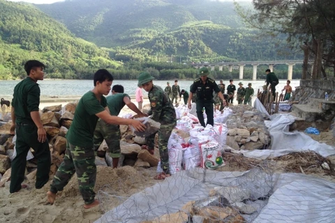 Thừa Thiên-Huế: Xử lý khẩn cấp tình trạng sạt lở bờ biển Lăng Cô