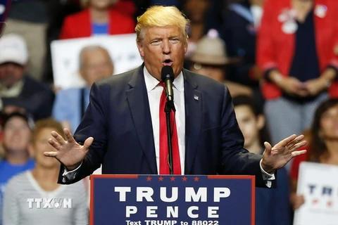 Ông Donald Trump đã đắc cử tổng thống Mỹ. (Nguồn: AFP/TTXVN)