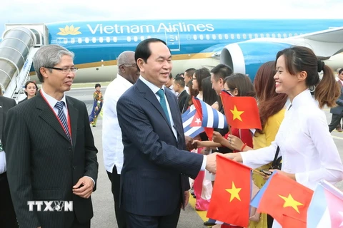 Cán bộ, nhân viên Đại sứ quán, lưu học sinh Việt Nam tại Cuba đón Chủ tịch nước Trần Đại Quang và Phu nhân tại sân bay Quốc tế Jose Marti. (Ảnh: Nhan Sáng/TTXVN)