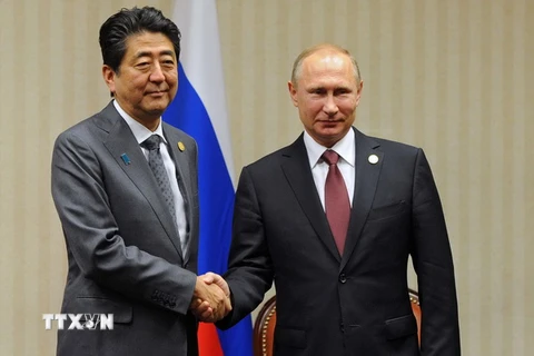 Thủ tướng Nhật Bản Shinzo Abe hội đàm với Tổng thống Nga Vladimir Putin. (Nguồn: EPA/TTXVN) 