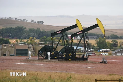 Máy bơm dầu tại cơ sở khai thác dầu Bakken Shale gần Williston, Bắc Dakota, Mỹ. (Nguồn: AFP/TTXVN)