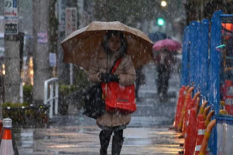 Tuyết rơi ở Tokyo. (Nguồn: AFP)