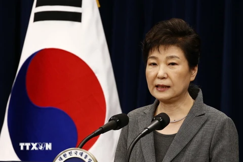 Tổng thống Hàn Quốc Park Geun-hye phát biểu tại Nhà Xanh ở thủ đô Seoul. (Nguồn: AFP/TTXVN)
