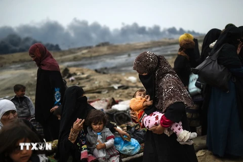 Người dân Iraq sơ tán khỏi khu vực chiến sự ở Mosul tới Qayyarah, phía Nam Mosul. (Nguồn: AFP/TTXVN)