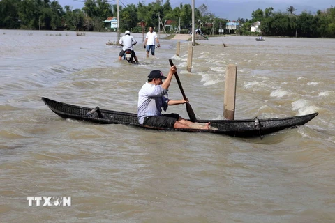 Do mưa lớn gây lũ, nhiều tuyến đường ở tỉnh Bình Định bị ngập sâu. (Ảnh: Trần Lê Lâm/TTXVN)