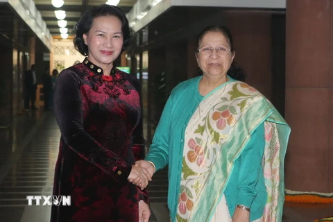 Chủ tịch Quốc hội Nguyễn Thị Kim Ngân và Chủ tịch Quốc hội Ấn Độ Sumitra Mahajan trước khi hội đàm. (Ảnh: Trọng Đức/TTXVN)