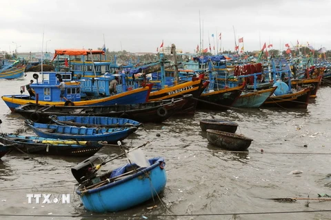 Các tàu neo đậu tránh áp thấp nhiệt đới tại cảng cá Phan Thiết, tỉnh Bình Thuận. (Ảnh: An Hiếu/TTXVN)