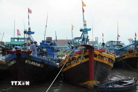 Ngư dân neo đậu chằng chéo tàu thuyền tại cảng cá Phan Thiết, tỉnh Bình Thuận. (Ảnh: An Hiếu/TTXVN)
